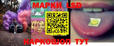 spice Камышлов