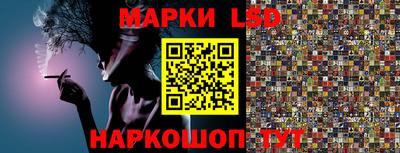 spice Камышлов