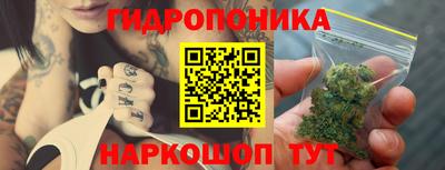 spice Камышлов