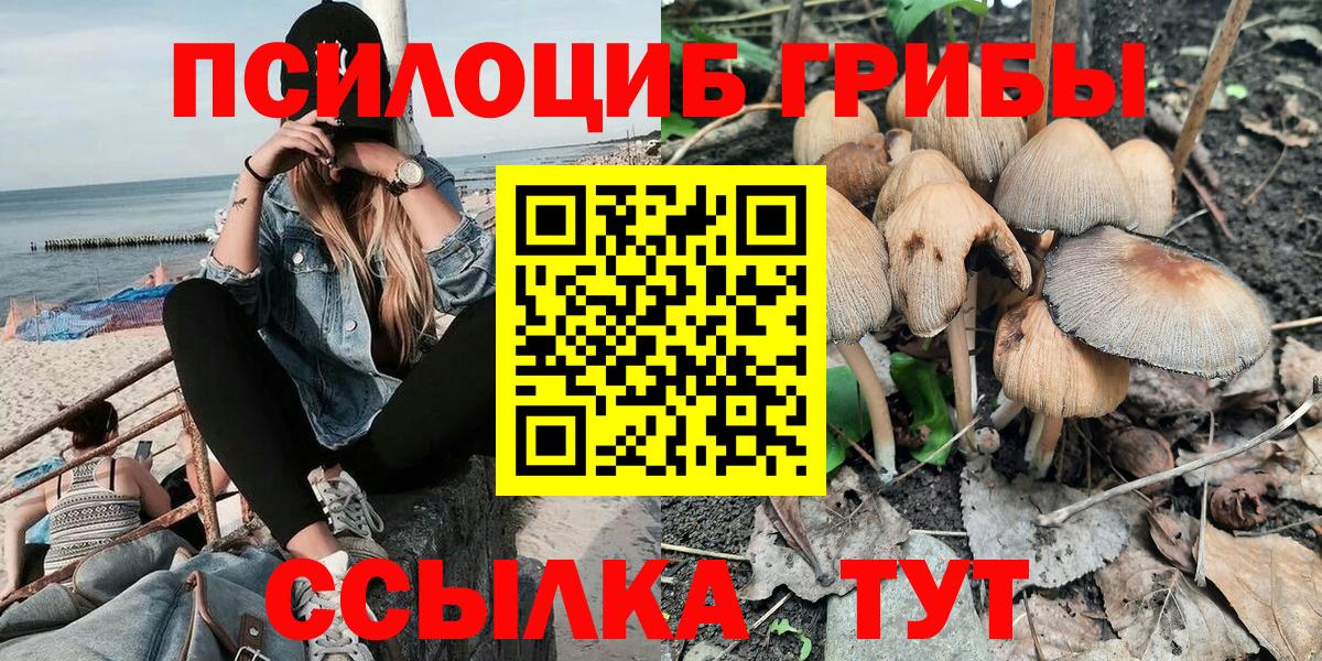 Галлюциногенные грибы Cubensis Мончегорск
